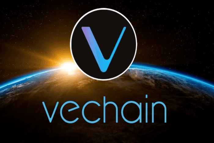 VeChain 助力 VeFi 夏季活动：VeSwap 与 VeStation 战略合作伙伴关系揭晓