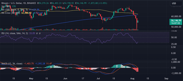 贝莱德的比特币 ETF 如何在 BTC 价格下跌期间飙升