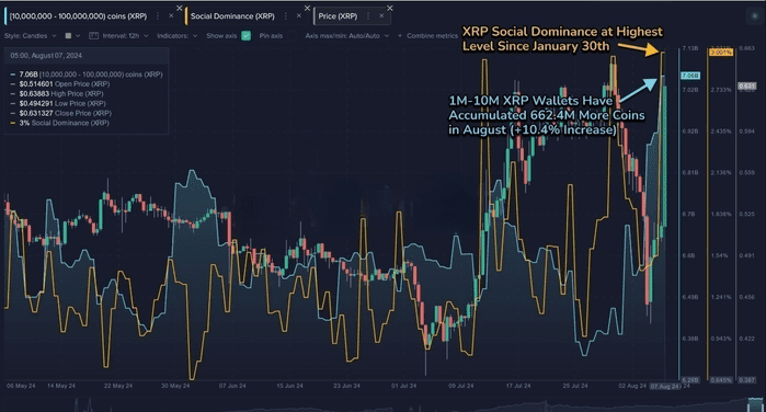 XRP 鲨鱼和鲸鱼推动价格飙升 19% 至 ATH