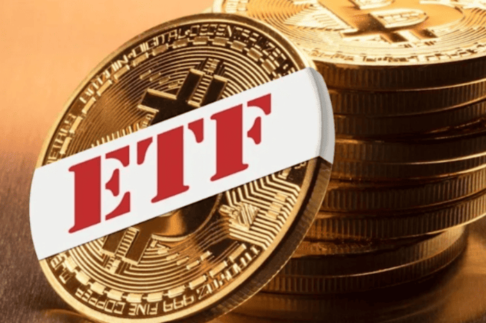 先锋集团首席执行官拒绝加密货币 ETF，专注于长期资本